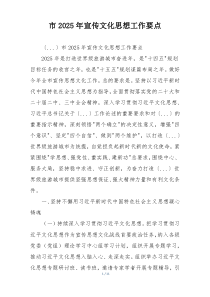 市2025年宣传文化思想工作要点