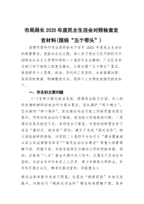 市局局长2026年度民主生活会对照检查发言材料（围绕“五个带头”）