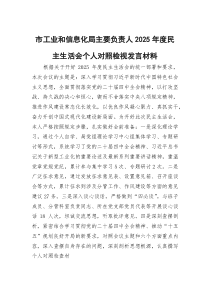 市工业和信息化局主要负责人2026年度民主生活会个人对照检视发言材料