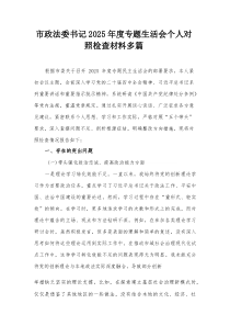 市政法委书记2026年度专题生活会个人对照检查材料多篇