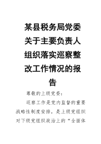 某县税务局党委关于主要负责人组织落实巡察整改工作情况的报告