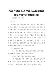 某国有企业2026年度民主生活会党委领导班子对照检查材料