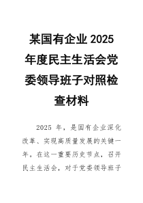 某国有企业2026年度民主生活会党委领导班子对照检查材料22