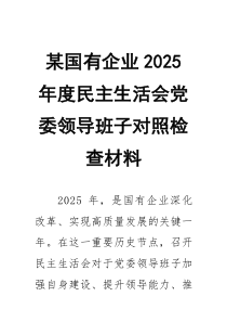 某国有企业2026年度民主生活会党委领导班子对照检查材料24