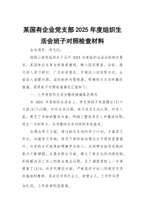 某国有企业党支部2026年度组织生活会班子对照检查材料
