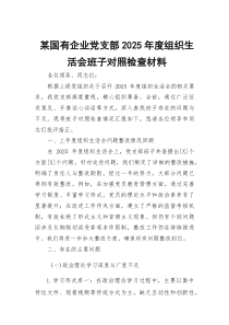 某国有企业党支部2026年度组织生活会班子对照检查材料66