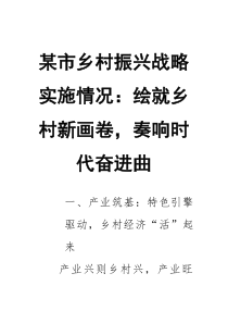 某市乡村振兴战略实施情况：绘就乡村新画卷，奏响时代奋进曲