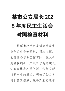 某市公安局长2026年度民主生活会对照检查材料