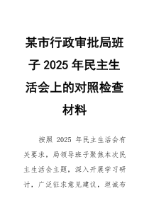 某市行政审批局班子2026年民主生活会上的对照检查材料