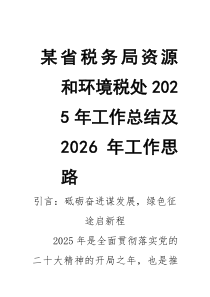 某省税务局资源和环境税处2026年工作总结及2026年工作思路