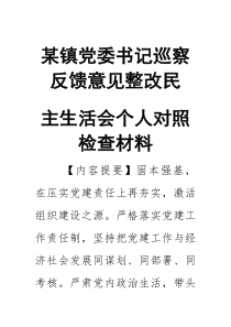 某镇党委书记巡察反馈意见整改民主生活会个人对照检查材料
