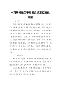 水利局党组关于巡察反馈意见整改方案
