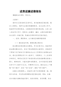 述责述廉述德报告