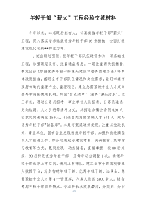 年轻干部“薪火”工程经验交流材料