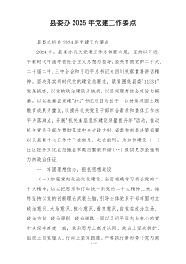 县委办2025年党建工作要点