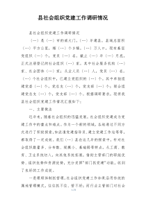 县社会组织党建工作调研情况