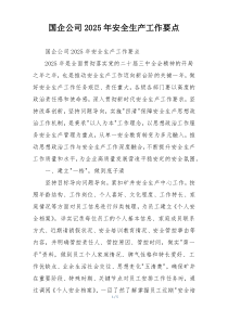 国企公司2025年安全生产工作要点