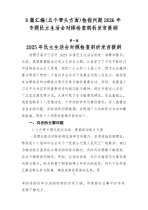 【九例】（五个带头方面）检视问题2026年专题民主生活会对照检查剖析发言提纲