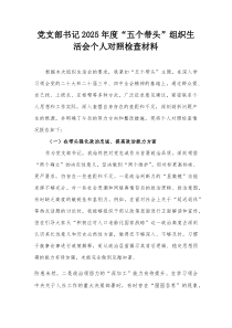 党支部书记2026年度“五个带头”组织生活会个人对照检查材料