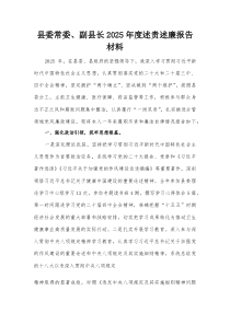 县委常委、副县长2026年度述责述廉报告材料