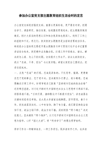 参加办公室党支部主题教育组织生活会时的发言.