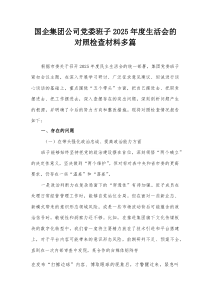 国企集团公司党委班子2026年度生活会的对照检查材料多篇