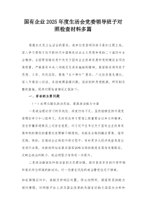 国有企业2026年度生活会党委领导班子对照检查材料多篇