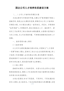 国企公司人才培养体系建设方案