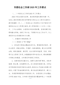 市委社会工作部2025年工作要点