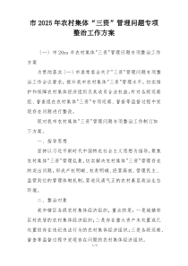市2025年农村集体“三资”管理问题专项整治工作方案