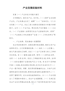 产业发展经验材料