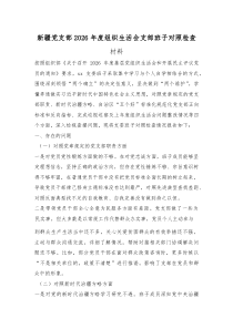 新疆党支部2026年度组织生活会支部班子对照检查材料