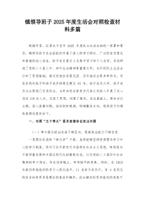 镇领导班子2026年度生活会对照检查材料多篇