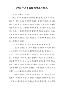2025年某市医疗保障工作要点