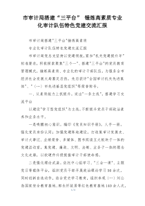 市审计局搭建“三平台” 锤炼高素质专业化审计队伍特色党建交流汇报