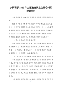 乡镇班子2025年主题教育民主生活会对照检查材料