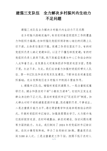 建强三支队伍  全力解决乡村振兴内生动力不足问题