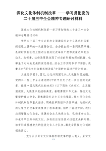 深化文化体制机制改革 ——学习贯彻党的二十届三中全会精神专题研讨材料