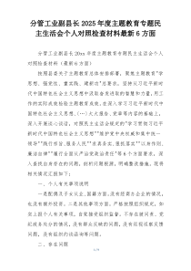 分管工业副县长2025年度主题教育专题民主生活会个人对照检查材料最新6方面