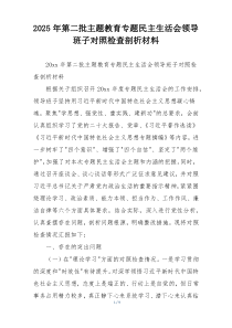 2025年第二批主题教育专题民主生活会领导班子对照检查剖析材料