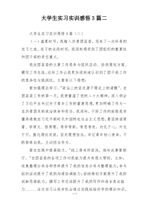 大学生实习实训感悟3篇二