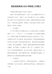某某县财政局2025年财政工作要点