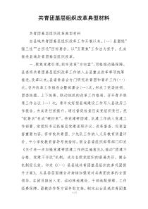 共青团基层组织改革典型材料