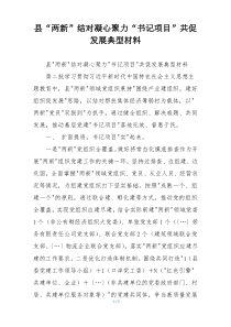 县“两新”结对凝心聚力“书记项目”共促发展典型材料