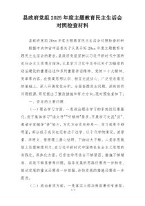 县政府党组2025年度主题教育民主生活会对照检查材料