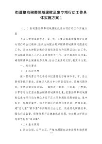 街道整治殡葬领域腐败乱象专项行动工作具体实施方案1