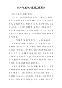 2025年某市大数据工作要点