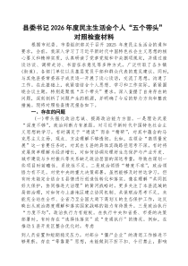 [五例]县委书记2026年度民主生活会个人“五个带头”对照检查材料范文