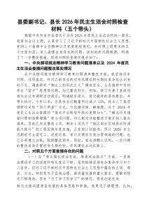 [五例]县委副书记、县长2026年民主生活会对照检查材料（五个带头）范文