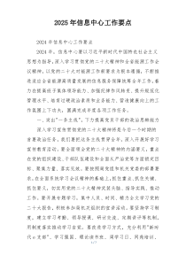 2025年信息中心工作要点